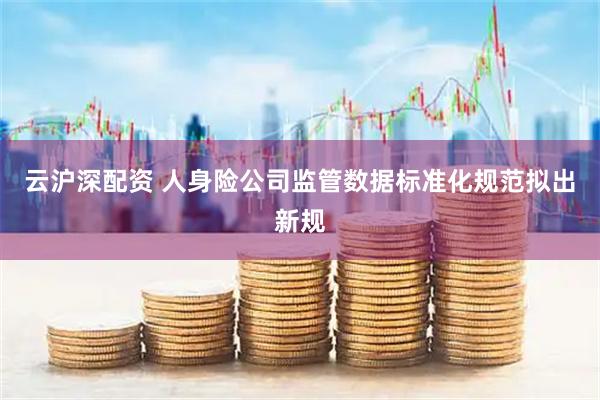 云沪深配资 人身险公司监管数据标准化规范拟出新规