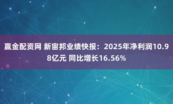 赢金配资网 新宙邦业绩快报:2025年净利润10.98亿元 同比增长16.56%