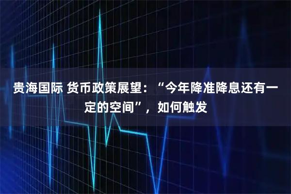 贵海国际 货币政策展望：“今年降准降息还有一定的空间”，如何触发