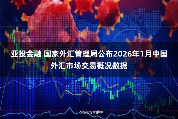 亚投金融 国家外汇管理局公布2026年1月中国外汇市场交易概况数据