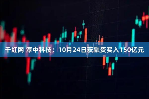 千红网 淳中科技：10月24日获融资买入150亿元